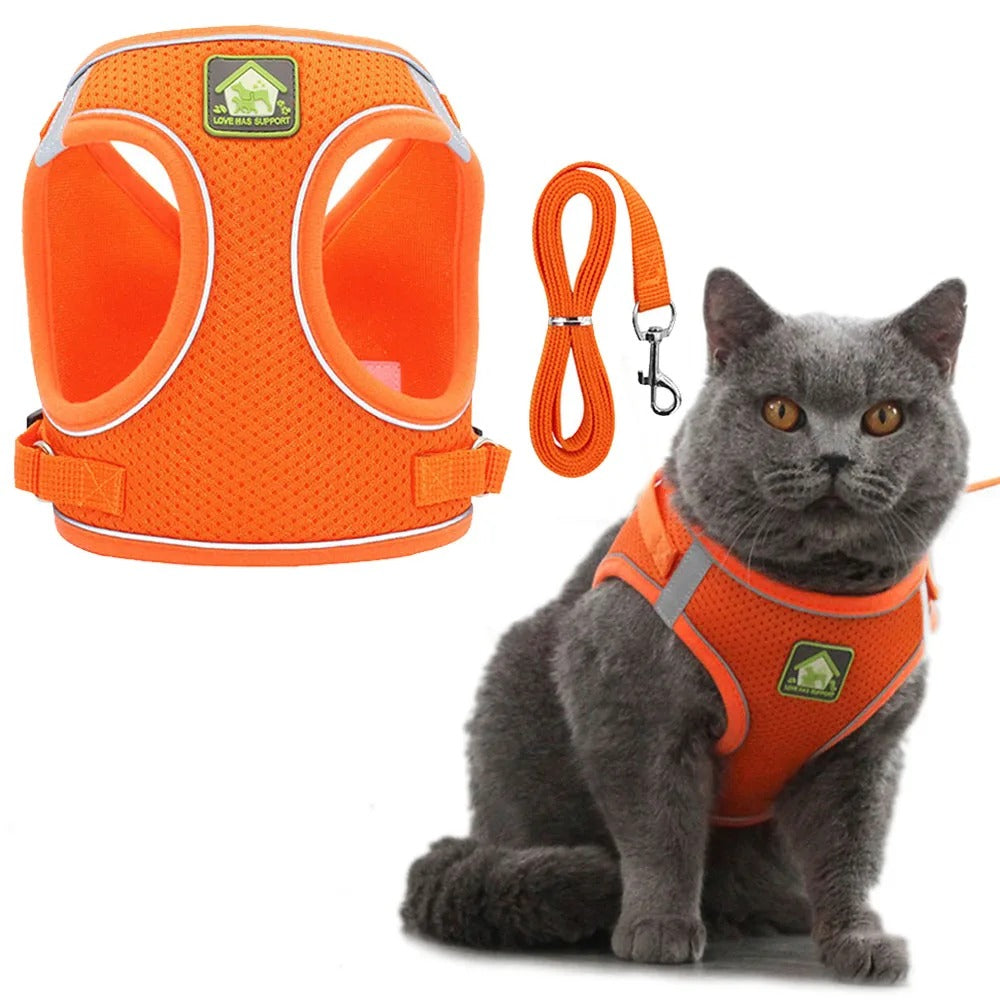 Harnais pour Chat | Sécurity Reflex