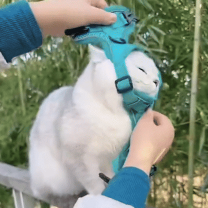 Harnais chat | Aventure Confort
