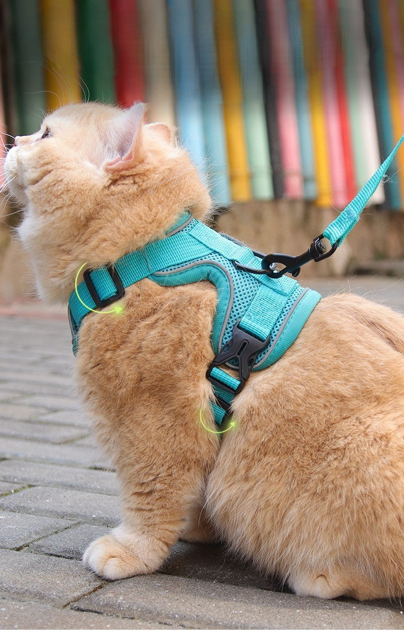 Harnais chat | Aventure Confort