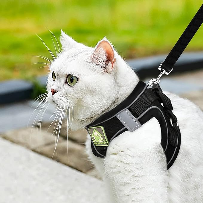 Harnais pour Chat | Sécurity Reflex
