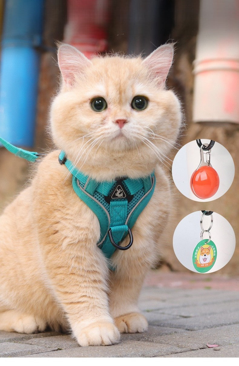 Harnais chat | Aventure Confort