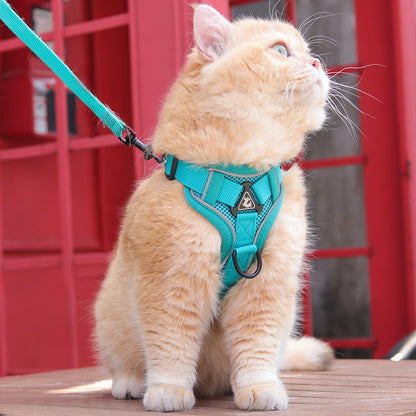 Harnais chat | Aventure Confort