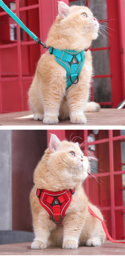 Harnais chat | Aventure Confort