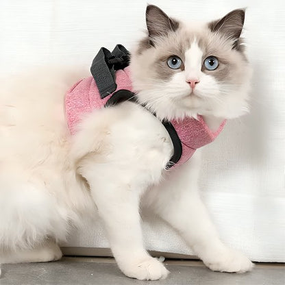 Chat Ragdoll blanc portant un harnais gilet rose avec anneau dorsal noir