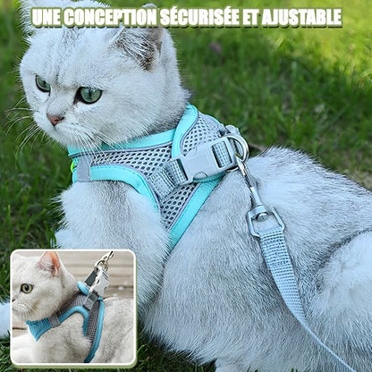 harnais_pour_chat_ajustable