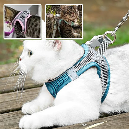 harnais_pour_chat_sécuritaire
