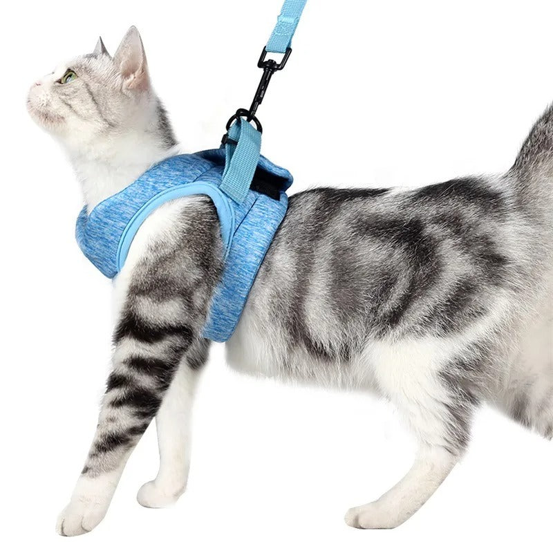 Harnais chaton gilet bleu respirant avec anneau dorsal – taille Petit/Moyen/Large