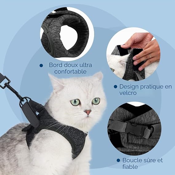 Détails de construction du harnais chaton – clips rapides, coutures et matière mesh respirante