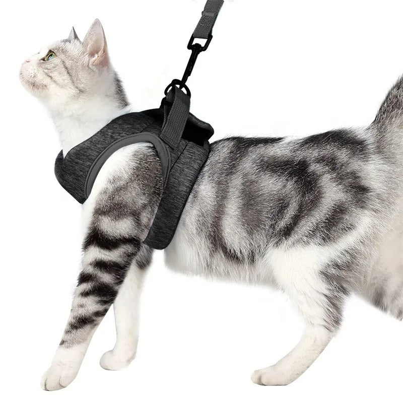 Harnais chaton gilet noir anti-échappement avec anneau dorsal – taille Petit/Moyen/Large
