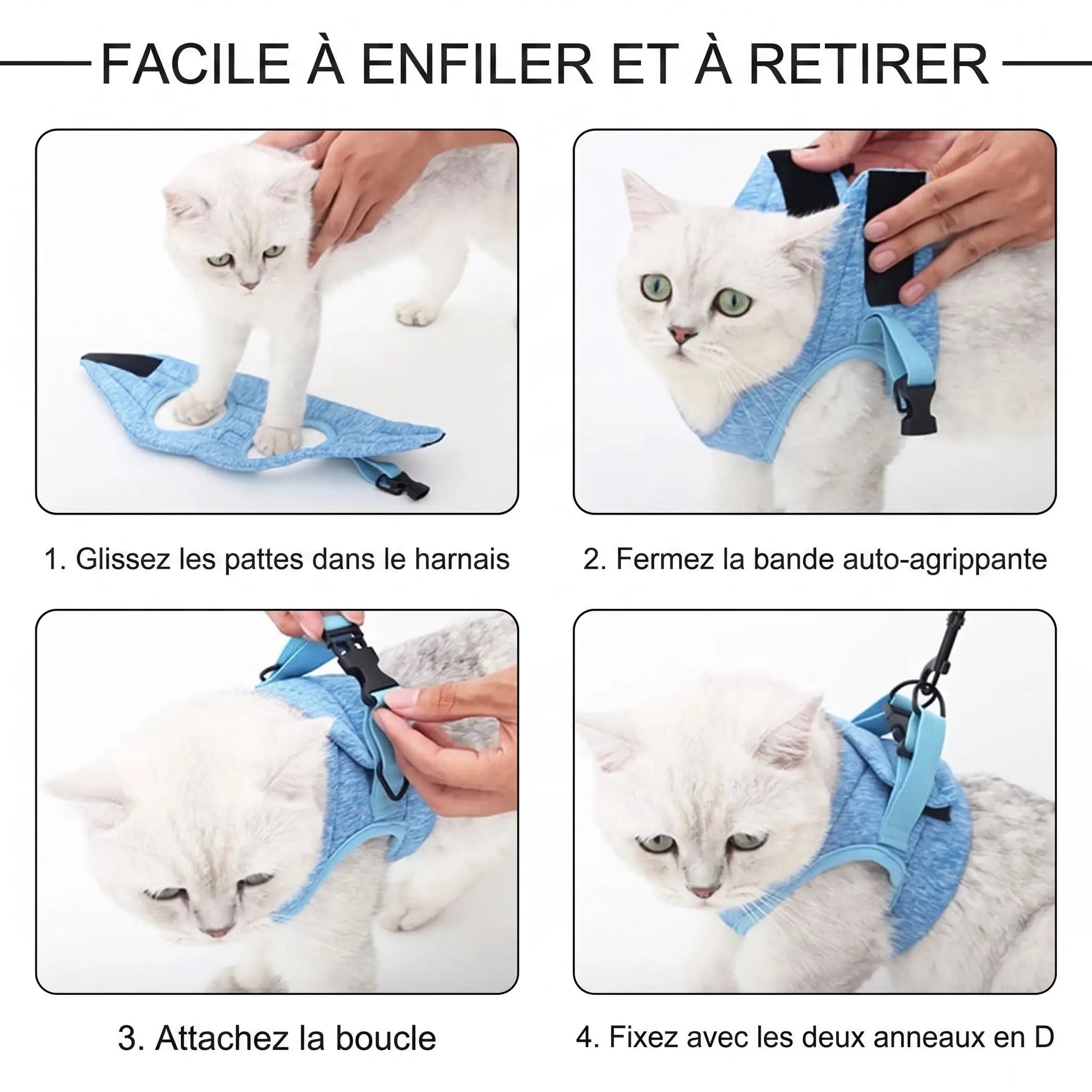 Harnais chaton en cours d'utilisation pratique – habillage facile avec fermetures à clips