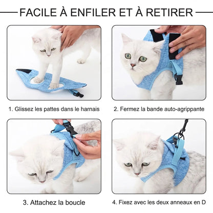Harnais chaton en cours d'utilisation pratique – habillage facile avec fermetures à clips