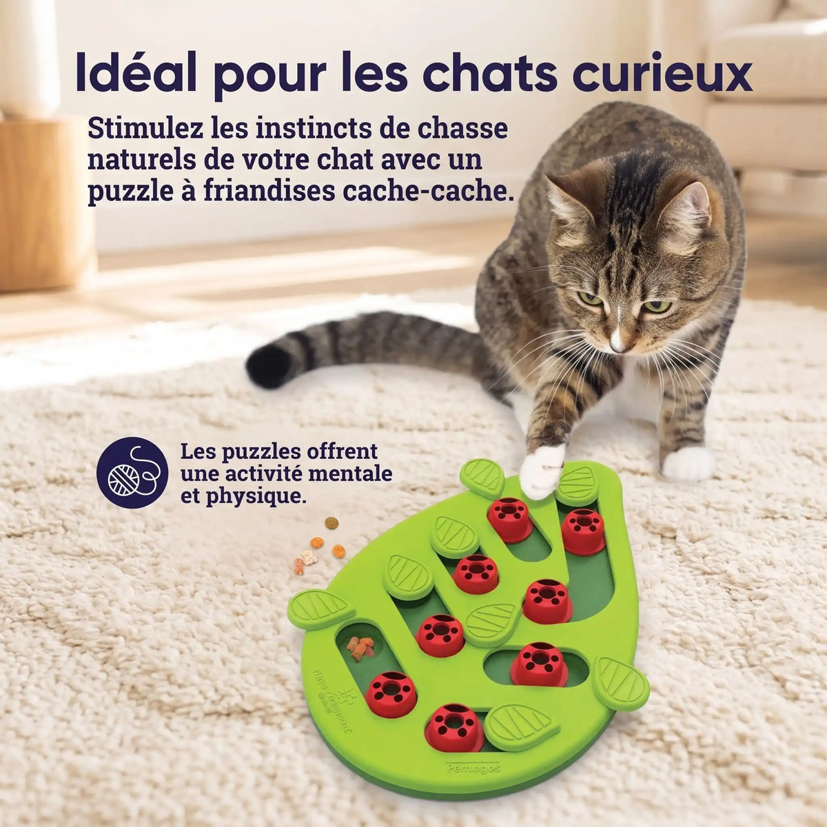 Jouet Chat Interactif | Stimulant