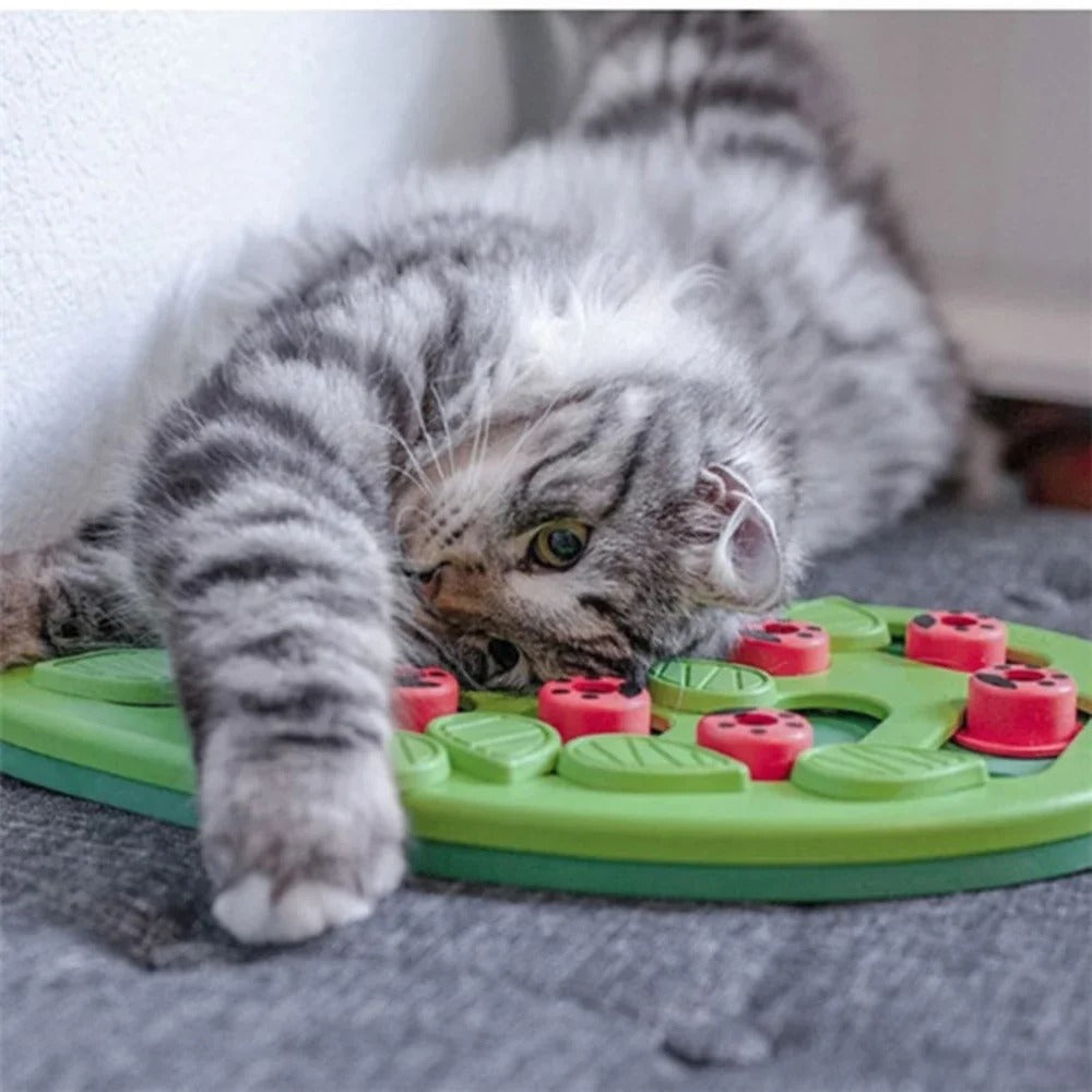 Jouet Chat Interactif | Stimulant