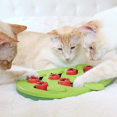 jouet-chat-interactif