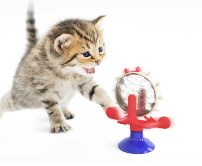Jouet distributeur de croquettes pour chat | ChasseActive