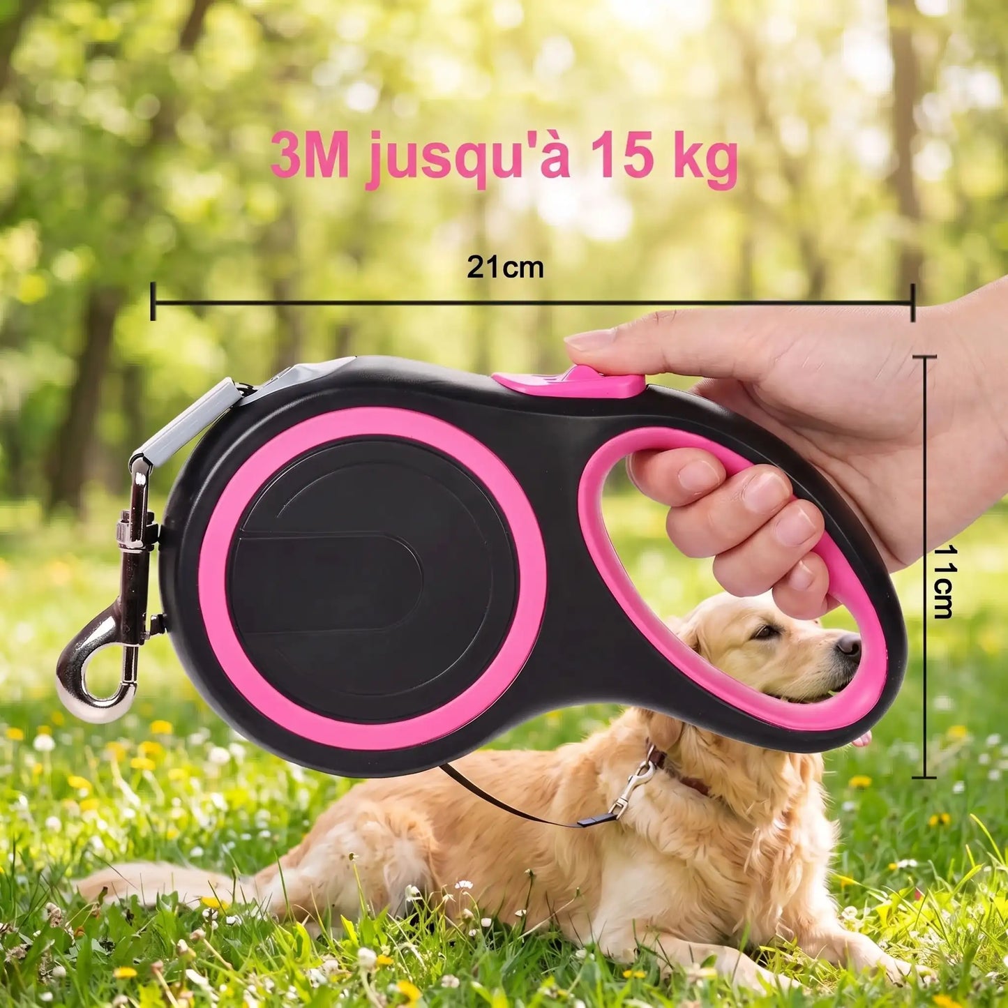 Laisse chat rétractable ronde avec chat assis à côté — indication jusqu'à 15 kg