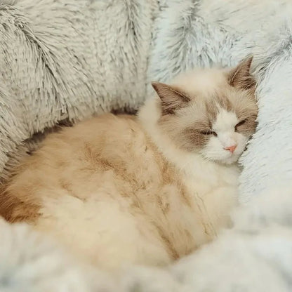 Le Tunnel pour Chat Ultime : Confort et Divertissement Garantis - Boutique Misha