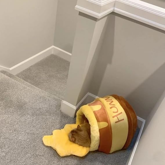 Lit pour Chat | Ultra-Confortable