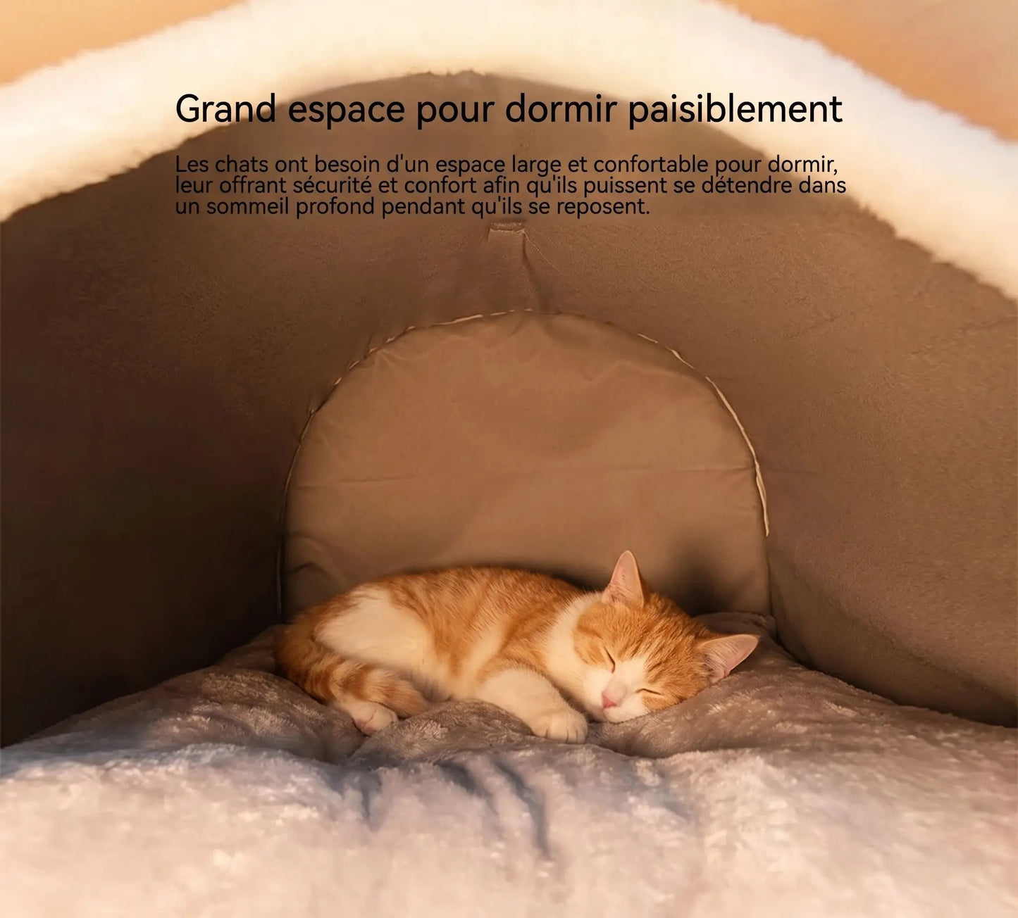 Maison pour chat | Confort Douillet