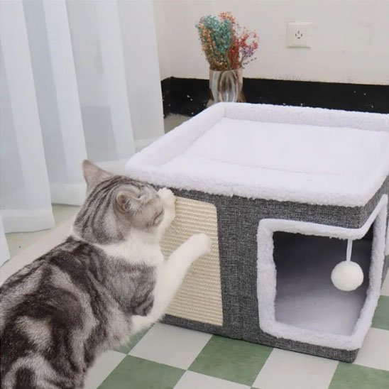 Maison pour chat