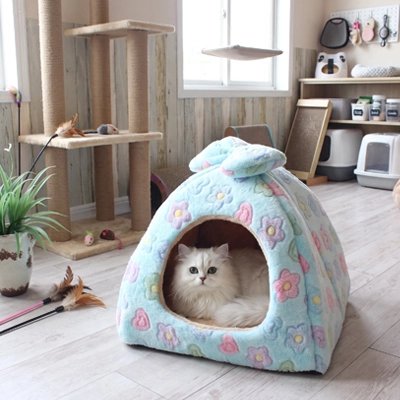 maison-pour-chat