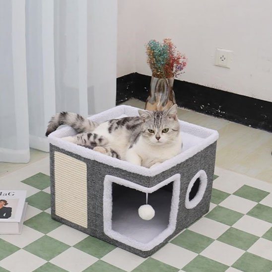 Maison pour chat