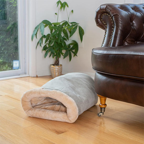 Panier Chat | Confortable et Design