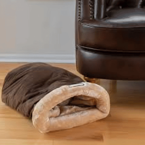 Panier Chat | Confortable et Design