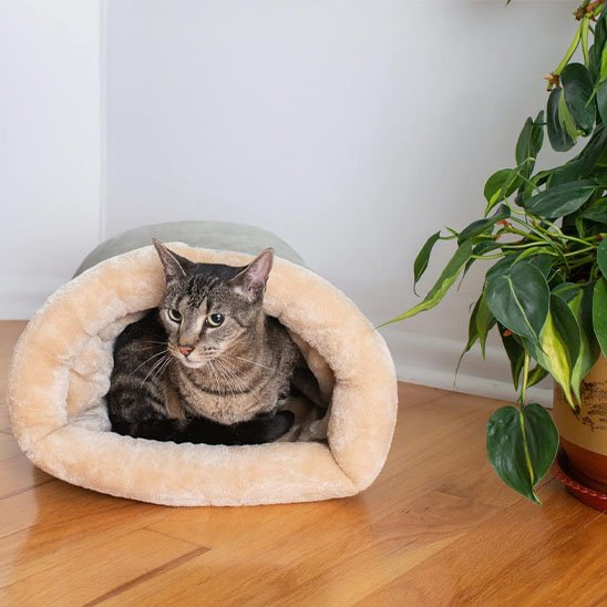 panier-chat