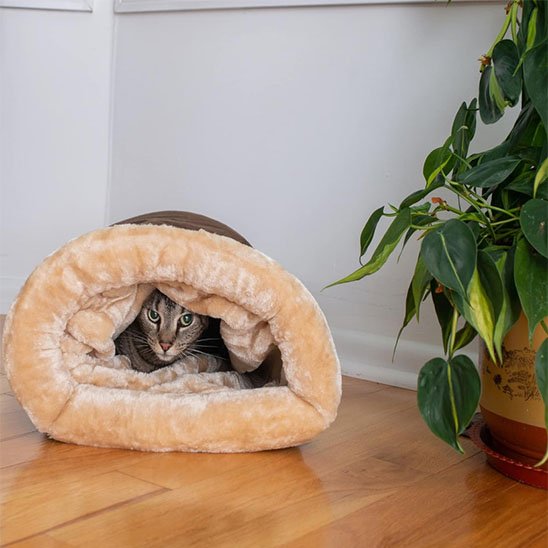 Panier-chat