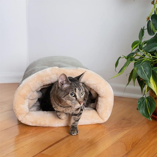 panier-chat
