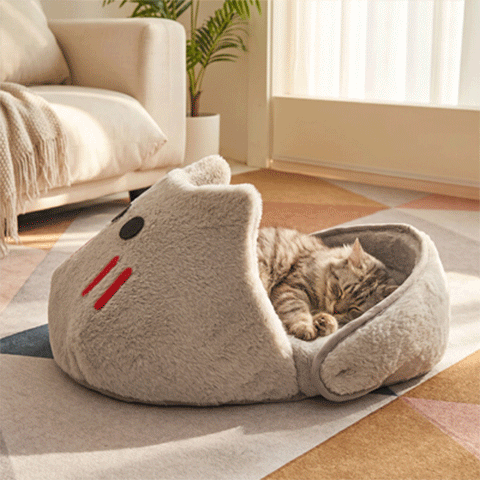 Chat gris tigré blotti dans panier requin moelleux – mode ouvert dans un salon moderne
