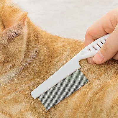 Main passant un peigne blanc à dents métalliques fines sur le pelage d’un chat roux, près de l’épaule