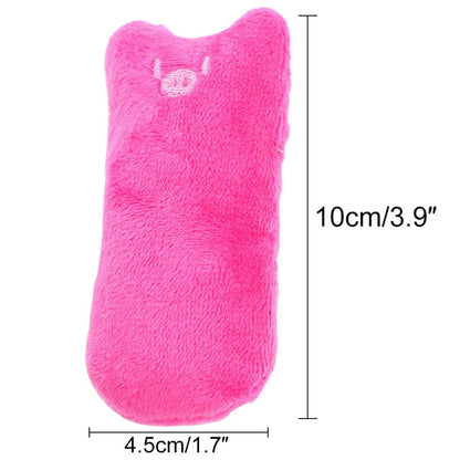 PetTeeth™ - Jouet à mâcher pour chat - Boutique Misha