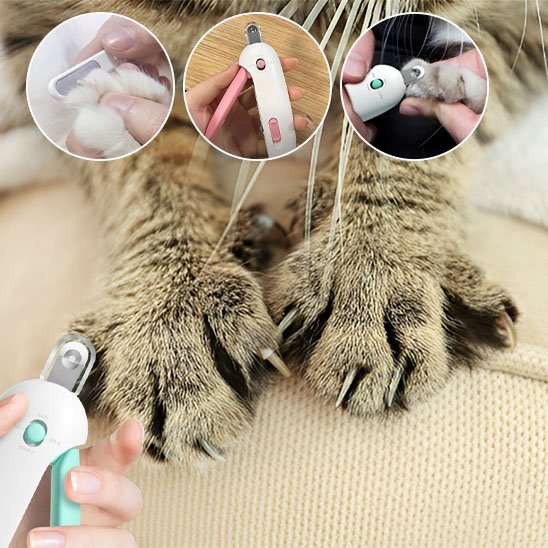 Coupe griffe chat | Ergonomique