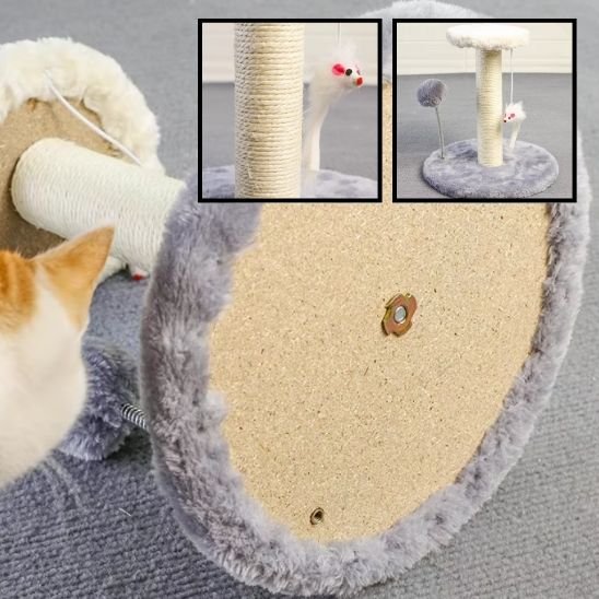 Griffoir chat | Élégant Protecteur