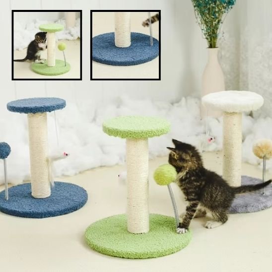 Griffoir chat | Élégant Protecteur