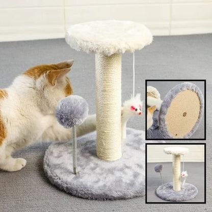 Griffoir chat | Élégant Protecteur