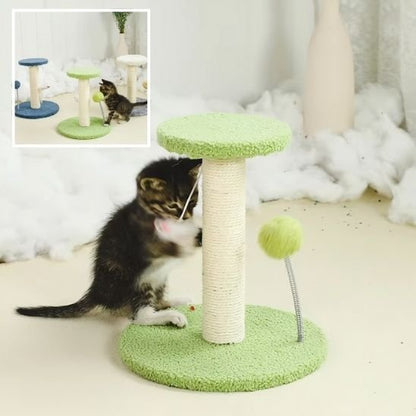 Griffoir chat | Élégant Protecteur