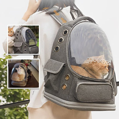 Personne portant un sac à dos gris à bulle transparente contenant un chat roux, avec deux vignettes montrant l’ouverture latérale et le sac posé sur une table
