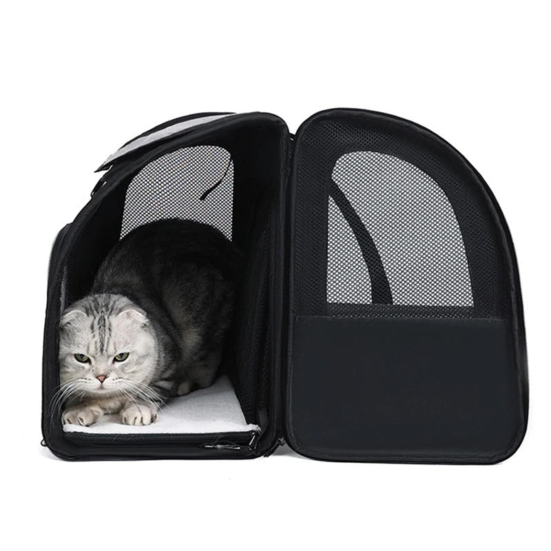 Sac de transport pour chat | Confort Sécurisé