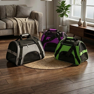 Sac transport chat disponible en 3 coloris : gris, violet et vert