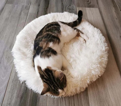 Tapis pour chat | Confortable et Lavable