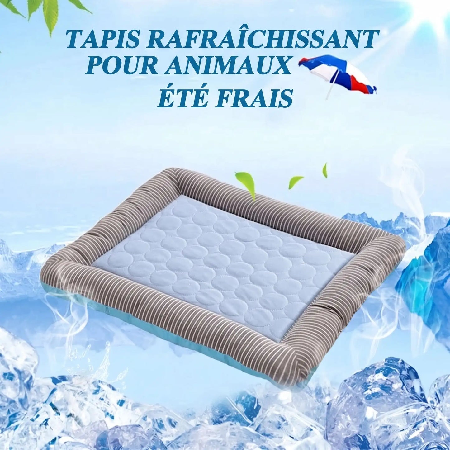 Tapis Rafraîchissant pour Chat | Confort Optimal