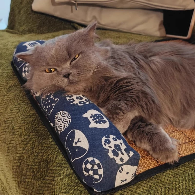 Tapis Rafraîchissant pour Chat | Fraîcheur Naturelle 4 Saisons