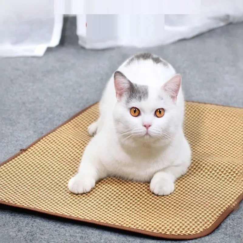 Tapis Rafraîchissant pour Chat | Confort Été – Bambou & Rotin