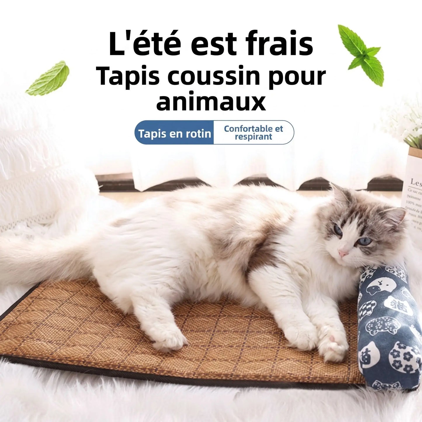 Tapis Rafraîchissant pour Chat | Fraîcheur Naturelle 4 Saisons