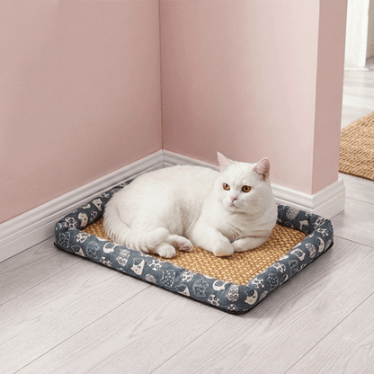 Tapis Rafraîchissant Chat | Rotin Naturel & Bordure Rembourrée – Motifs Déco