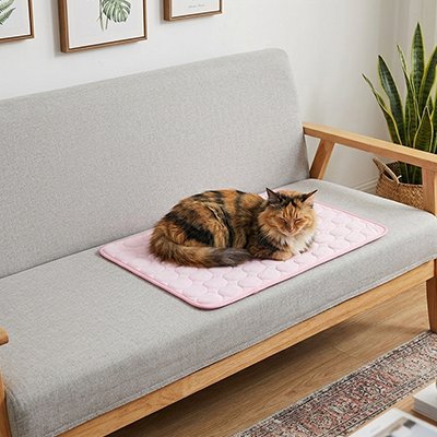 Tapis rafraîchissant chat rose pastel – motif alvéolaire, intégration intérieur moderne