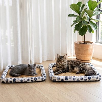 tapis-rafraichissant-chat